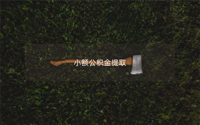 小额公积金提取